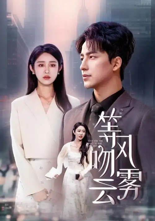 泡泡影视 长夜将明 电视剧海报在线观看